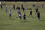 Click to see YIMG_7192.JPG