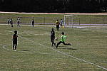 Click to see YIMG_7215.JPG
