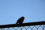 Click to see YIMG_7246.JPG