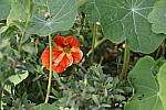 Click to see YIMG_7320.JPG