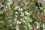 Click to see YIMG_7326.JPG