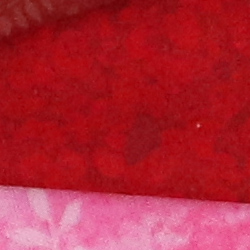 100% crop from Canon 77D test image taken at ISO 1600