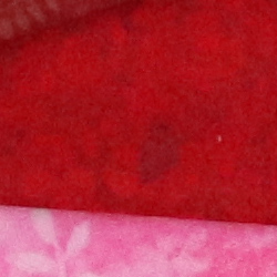 100% crop from Canon 77D test image taken at ISO 3200