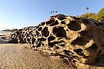 Click to see YAK4A0795_superwide.JPG