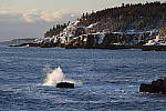Click to see Y_K4A3738.JPG