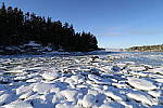 Click to see Y_K4A4122.JPG