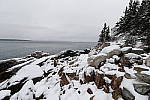 Click to see Y_K4A4264.JPG