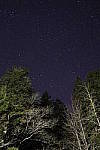Click to see Y_K4A5345.JPG