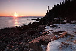 Canon 7D Mark II shooter's report photo