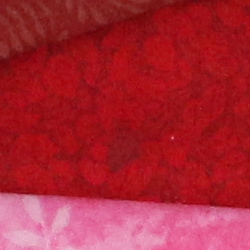 100% crop from Canon 7D Mark II test image taken at ISO 1600