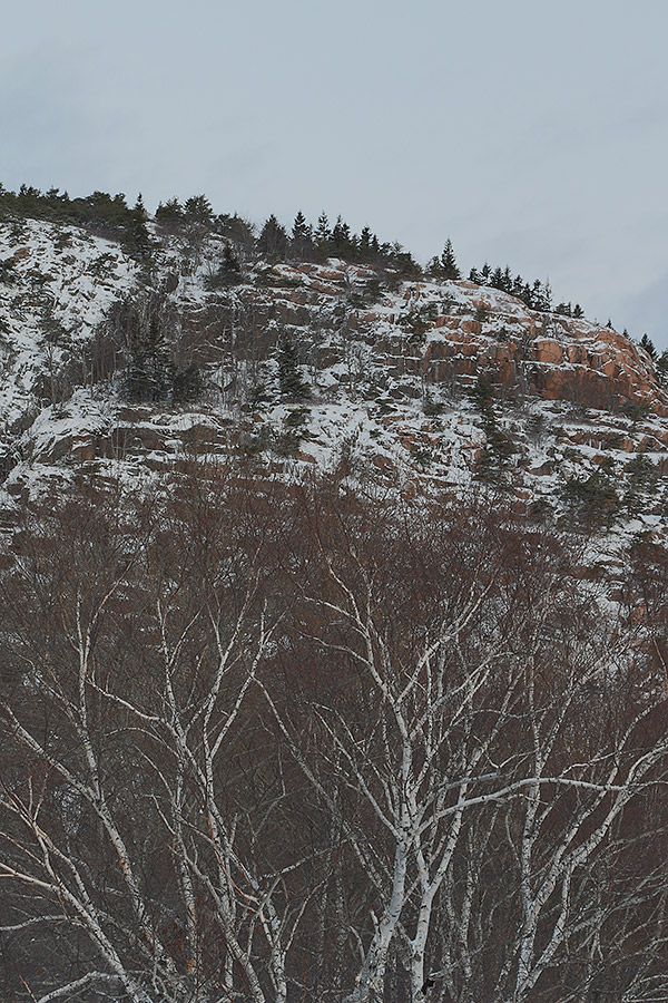 Canon 7D Mark II Review -- Gallery image