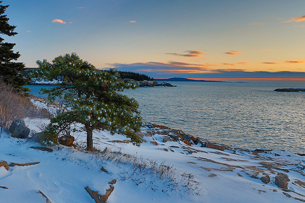 Canon 7D Mark II Review -- Gallery image