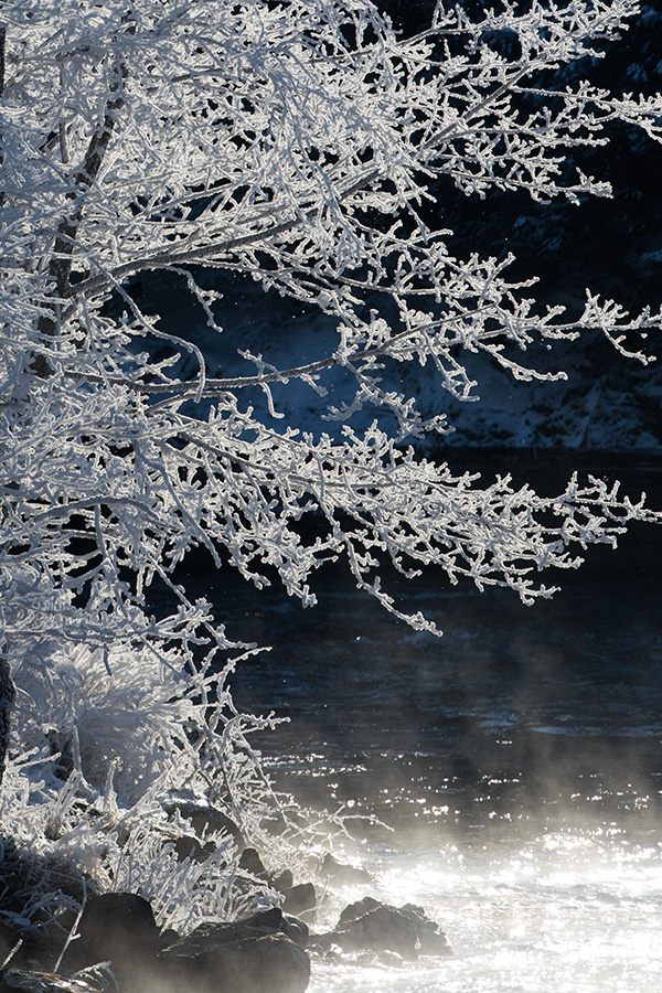 Canon 7D Mark II Review -- Gallery image