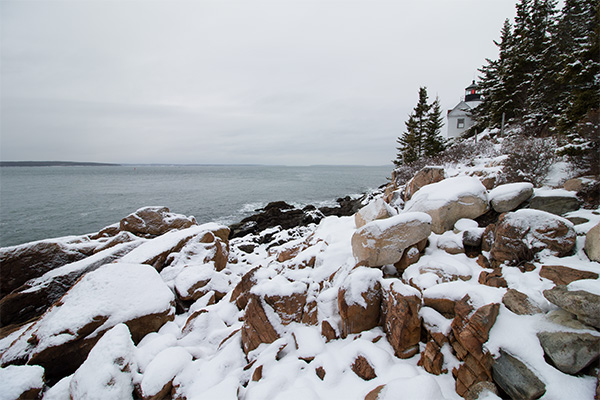 Canon 7D Mark II Review -- Gallery image
