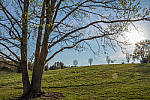 Click to see YIMG_0549-LR_edit.jpg