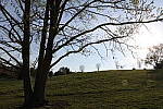 Click to see YIMG_0549.JPG