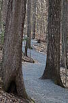 Click to see YIMG_0560.JPG