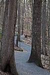Click to see YIMG_0561.JPG