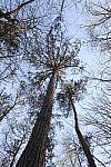 Click to see YIMG_0569.JPG