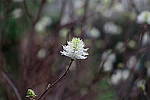 Click to see YIMG_0611.JPG