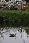 Click to see YIMG_0641.JPG