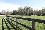 Click to see YIMG_0698.JPG