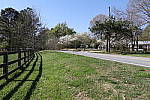 Click to see YIMG_0706.JPG