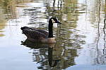 Click to see YIMG_0743.JPG