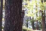 Click to see YIMG_0764.JPG