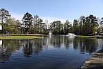 Click to see YIMG_0769.JPG