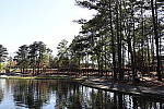 Click to see YIMG_0775.JPG