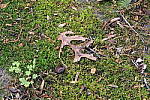 Click to see YIMG_1445-FD.JPG
