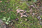 Click to see YIMG_1446-STD.JPG