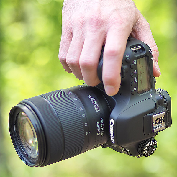 Canon 80D Review -- Gallery Image