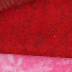 100% crop from Canon 80D test image taken at ISO 1600