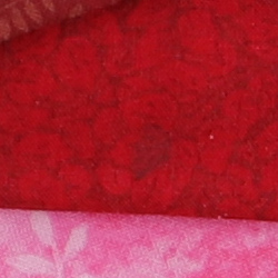 100% crop from Canon 70D test image taken at ISO 100
