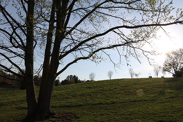 Canon 80D Review -- Gallery Image