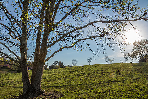 Canon 80D Review -- Gallery Image