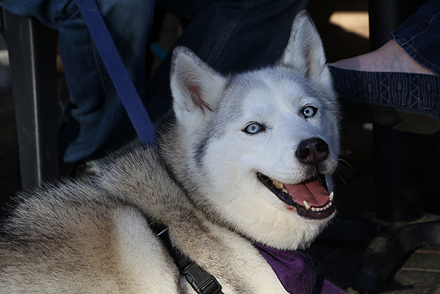Canon 80D Review -- Gallery Image