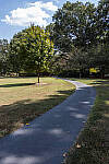 Click to see Y-IMG_2624-RAWedit.jpg
