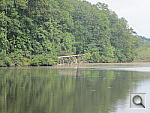 Click to see Y-CANON-D20-TELE.JPG