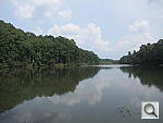 Click to see Y-CANON-D20-WIDE.JPG