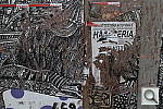 Click to see YIMG_2625.JPG
