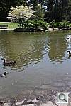 Click to see YIMG_2750.JPG