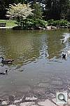 Click to see YIMG_2751.JPG