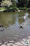 Click to see YIMG_2753.JPG