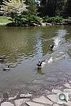 Click to see YIMG_2754.JPG