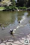 Click to see YIMG_2755.JPG