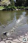 Click to see YIMG_2756.JPG