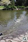 Click to see YIMG_2757.JPG